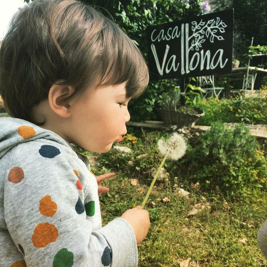 Casa Vallona